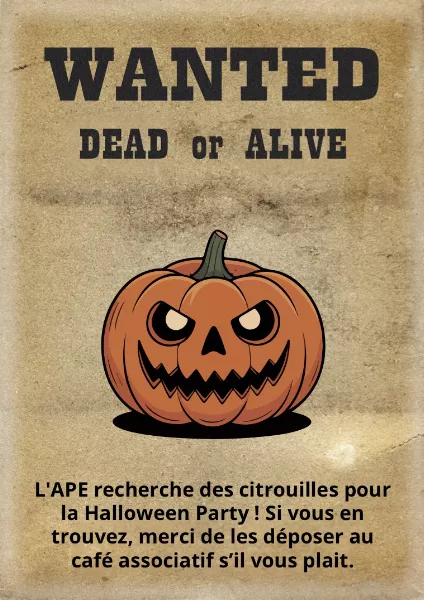 Recherche de citrouilles !